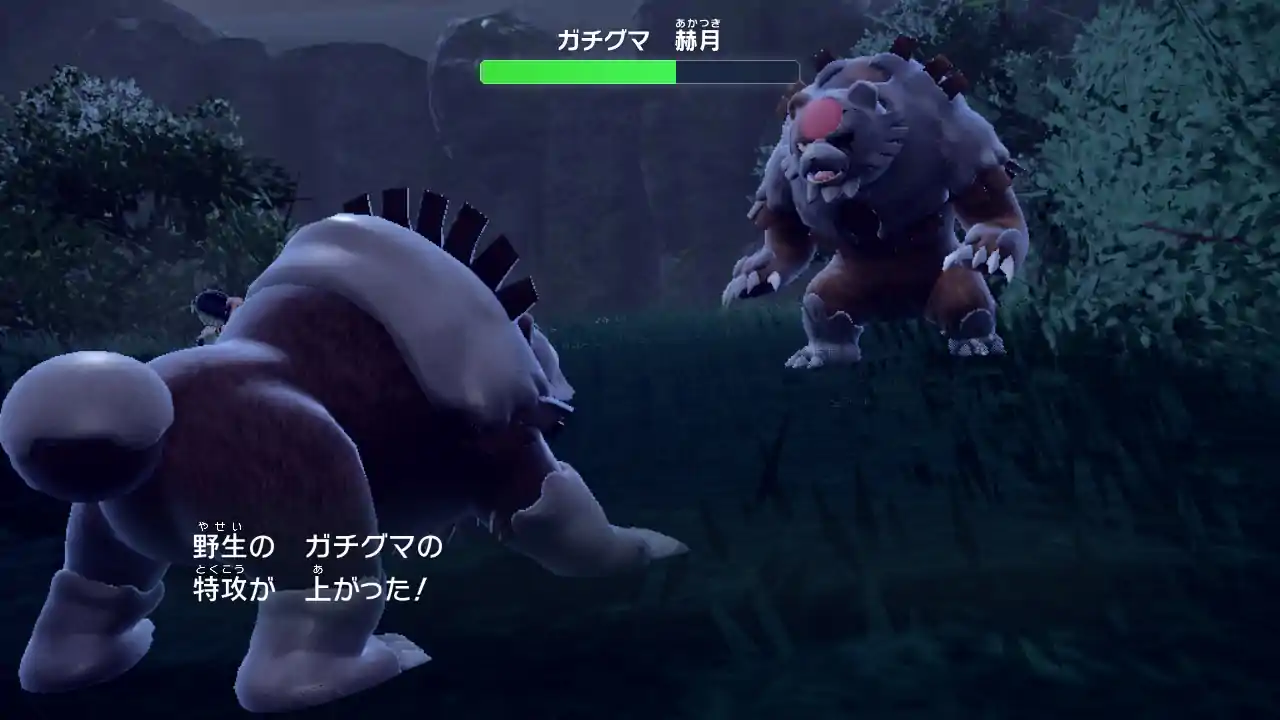 ポケモンSV 碧の仮面  ガチグマあかつき